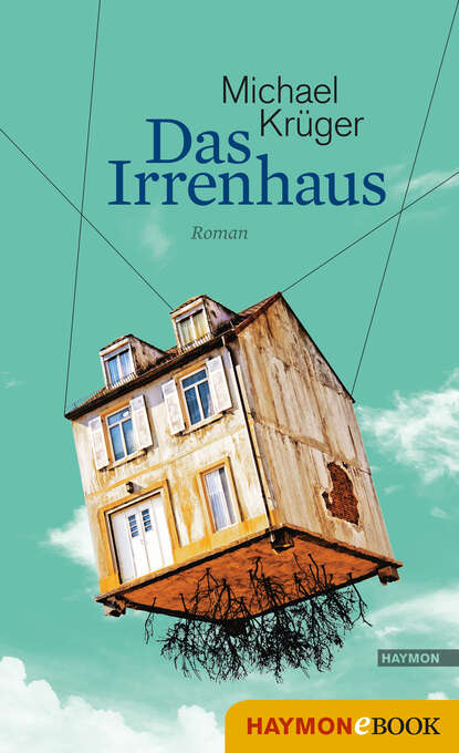 Das Irrenhaus (Michael Krüger). 