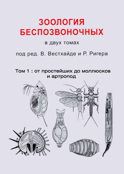 Коллектив авторов - Зоология беспозвоночных. Том 1. От простейших до моллюсков и артропод