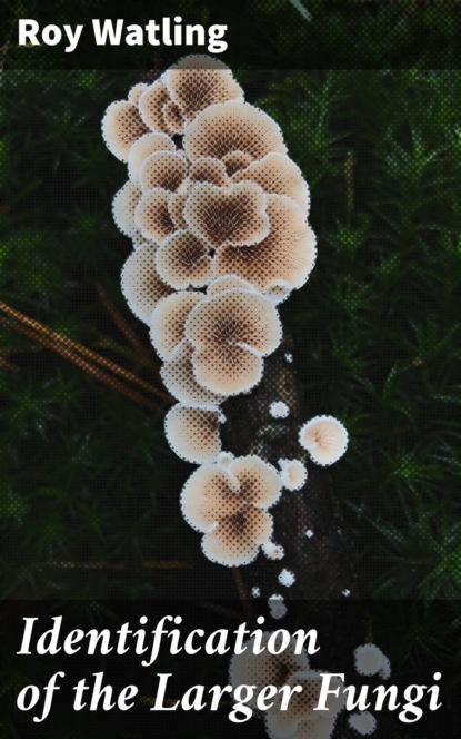 

Identification of the Larger Fungi