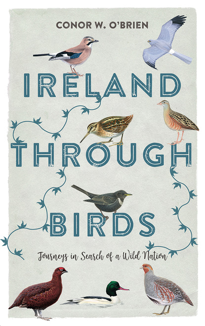 

Ireland Through Birds