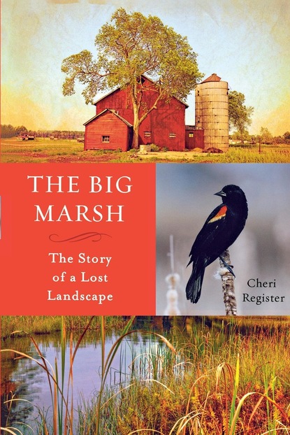 Cheri  Register - The Big Marsh