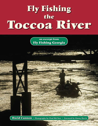 David Cannon L. - Fly Fishing the Toccoa River