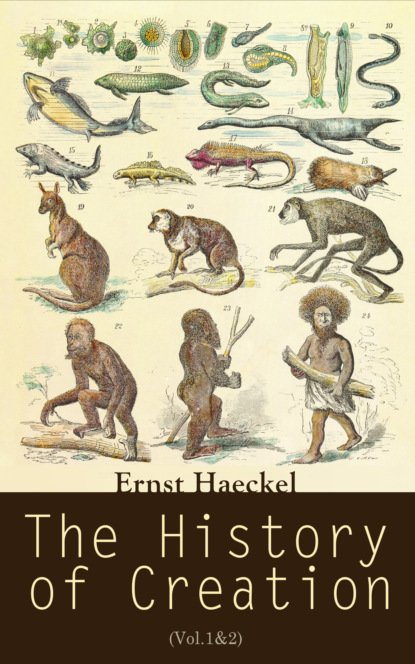 Ernst  Haeckel - The History of Creation (Vol.1&2)