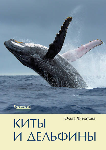 Ольга Филатова - Киты и дельфины