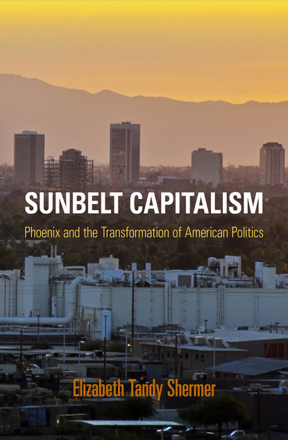 

Sunbelt Capitalism