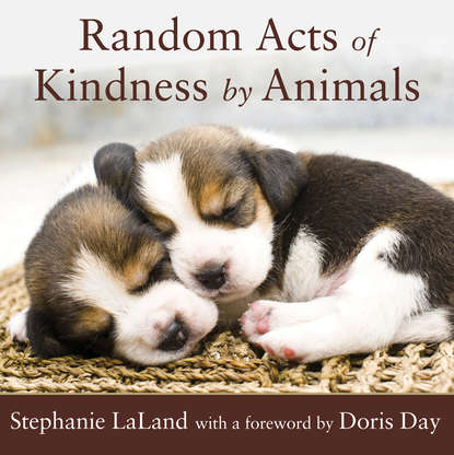 Stephanie LaLand - Random Acts of Kindness by Animals