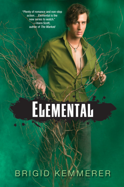 Brigid Kemmerer - Elemental