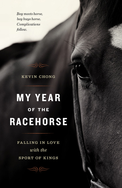 

My Year of the Racehorse