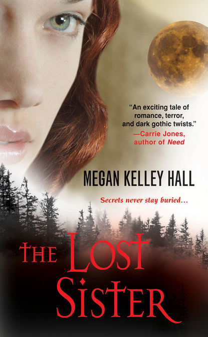 Megan Kelley Hall - The Lost Sister