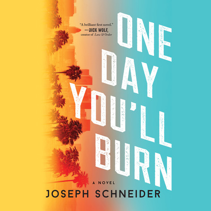 One Day You'll Burn - LAPD Detective Tully Jarsdel, Book 1 (Unabridged) - Joseph Schneider