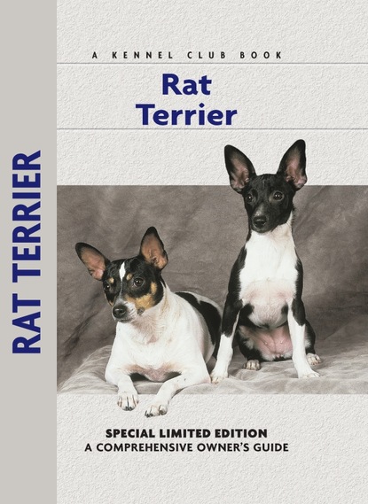 Alice J. Kane - Rat Terrier