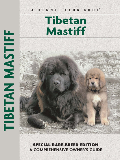 Juliette Cunliffe - Tibetan Mastiff