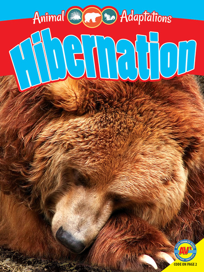 

Hibernation