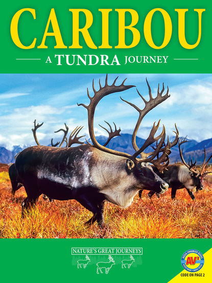 

Caribou: A Tundra Journey