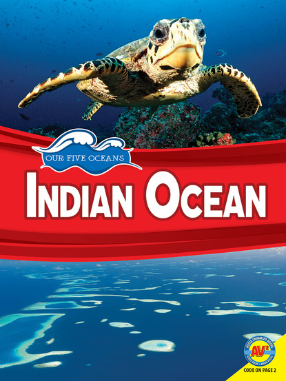 

Indian Ocean