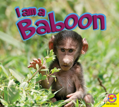 

Baboon