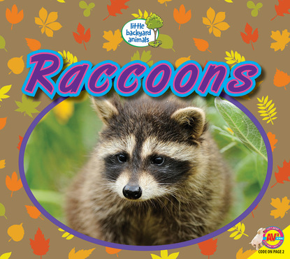 

Raccoons