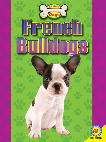 

French Bulldogs