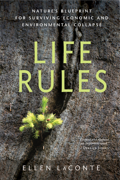 Ellen LaConte - Life Rules