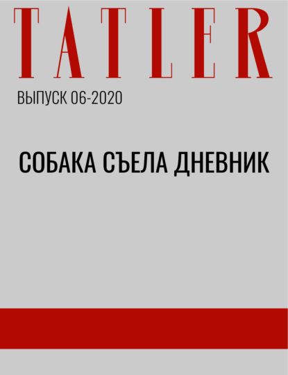 

Собака съела дневник