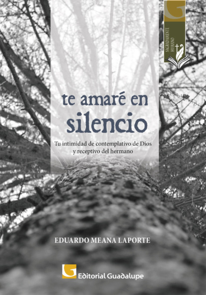 Eduardo Meana Laporte - Te amaré en silencio