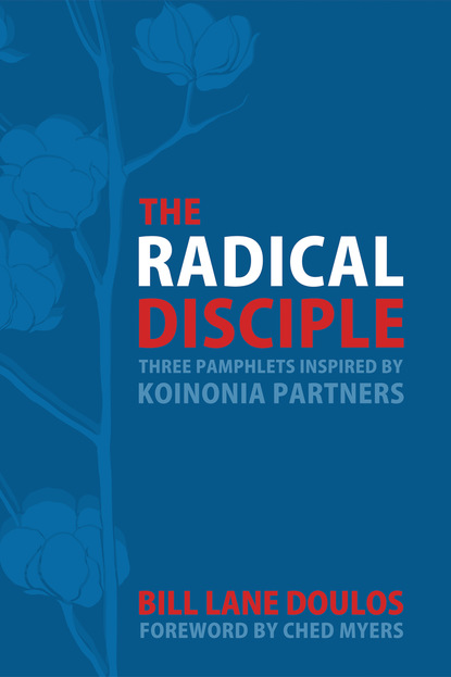 

The Radical Disciple