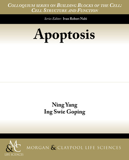 

Apoptosis
