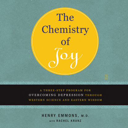 Henry Emmons — The Chemistry of Joy (Unabridged)