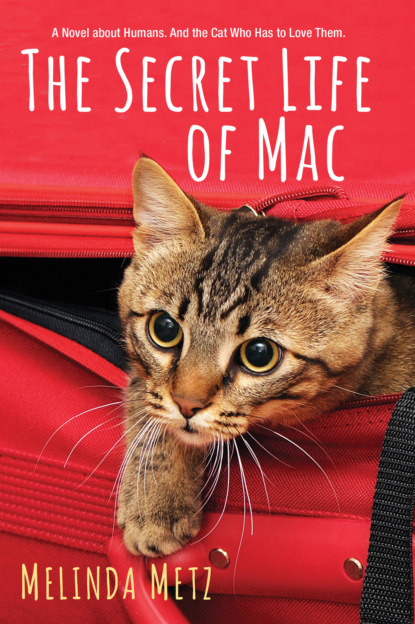 

The Secret Life of Mac