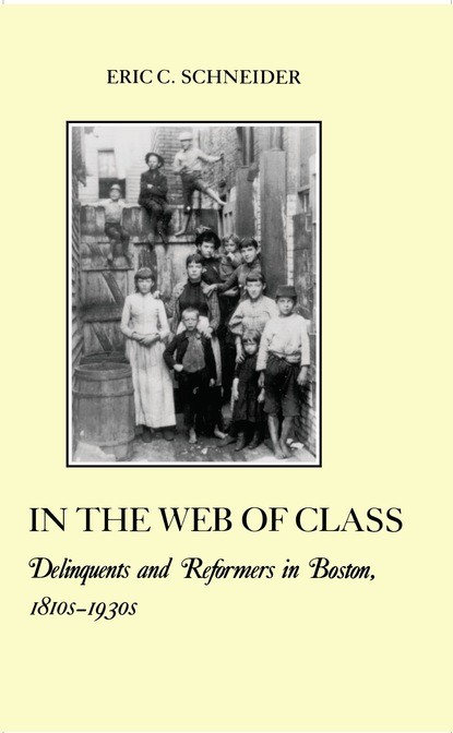 Eric C. Schneider - In the Web of Class