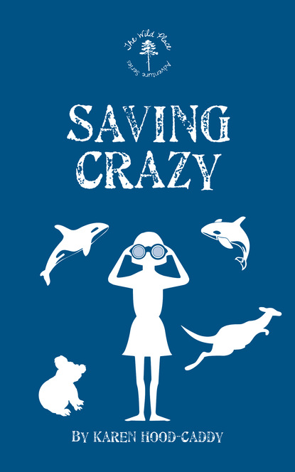 Karen Hood-Caddy — Saving Crazy