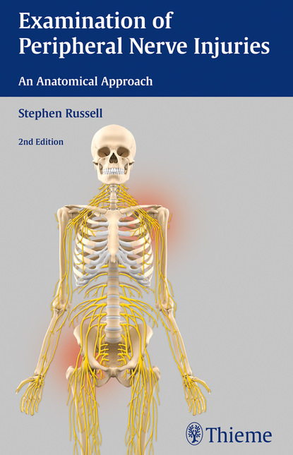 

Examination of Peripheral Nerve Injuries: An Anatomical Approach