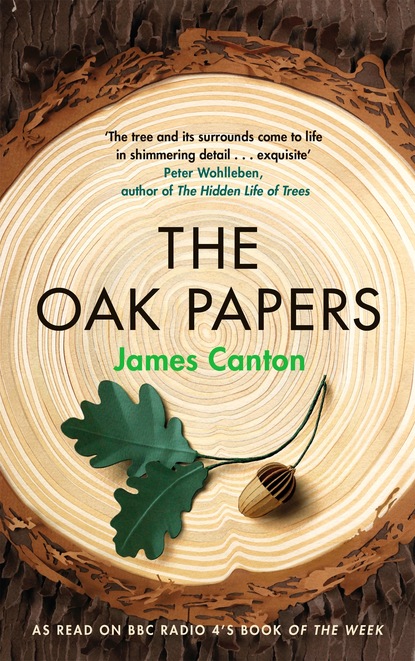 

The Oak Papers