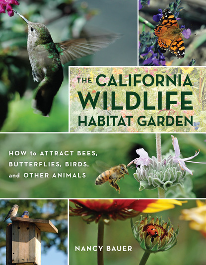 Nancy Bauer - The California Wildlife Habitat Garden