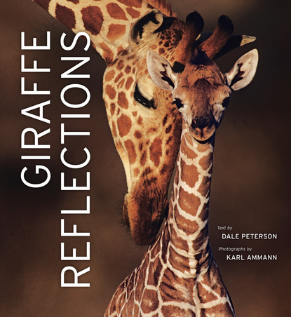 Dale Peterson - Giraffe Reflections