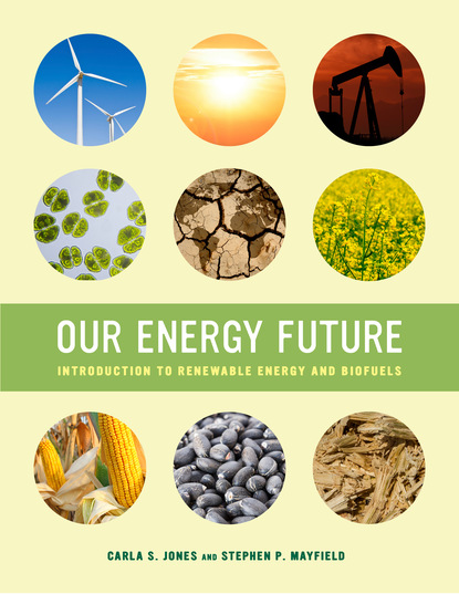 Carla S. Jones - Our Energy Future