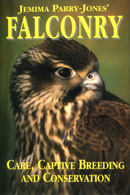 Jemima Parry-Jones - Falconry