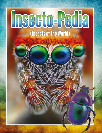 Speedy Publishing — Insecto-Pedia (Insects Of The World)