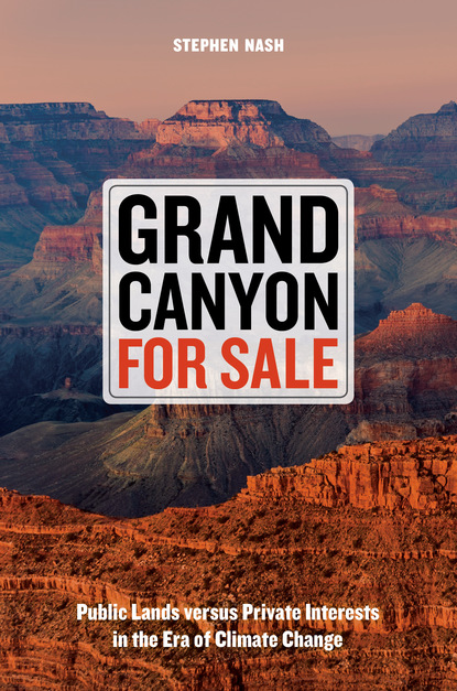 Stephen Nash - Grand Canyon For Sale