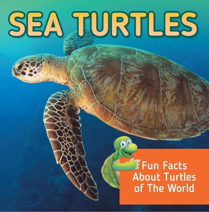 Baby Professor - Sea Turtles: Fun Facts About Turtles of The World