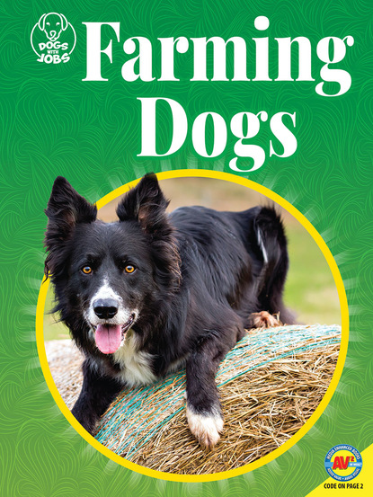 

Farming Dogs