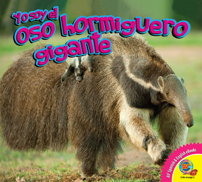 

El oso hormiguero gigante
