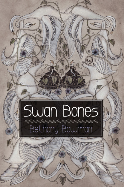 

Swan Bones