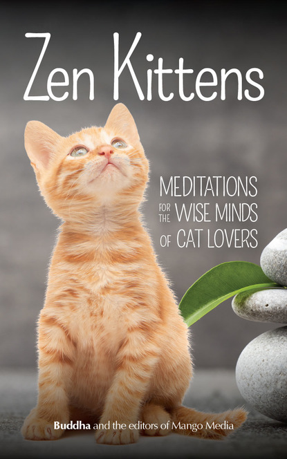 

Zen Kittens