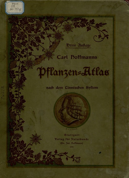 Pflanzen-Atlas nach dem Linneschen System - Carl Hoffmans