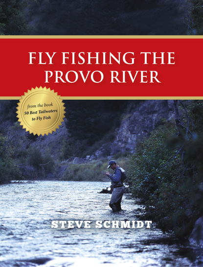 Steve Schmidt - Fly Fishing the Provo River