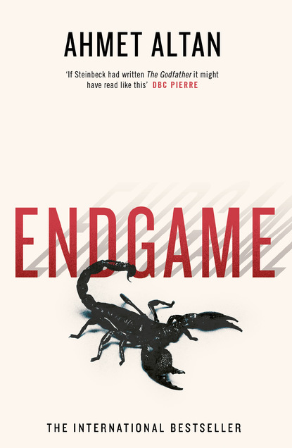 

Endgame