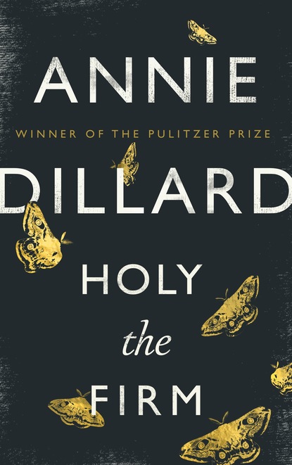 Annie Dillard - Holy the Firm