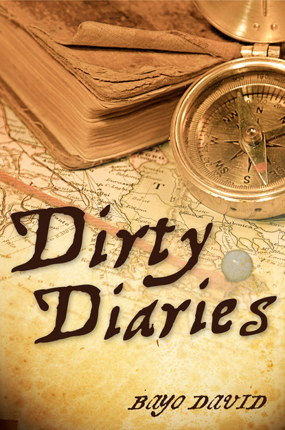

Dirty Diaries