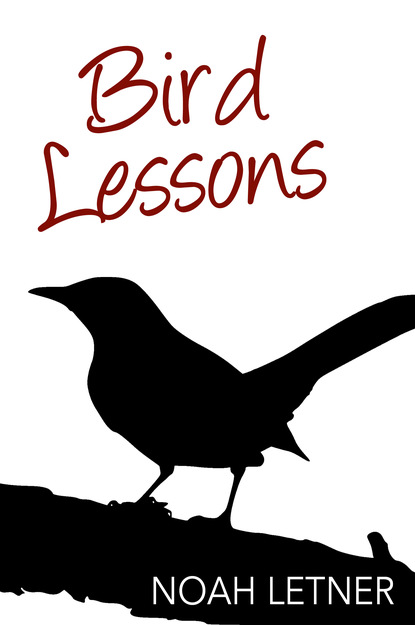 Noah Letner — Bird Lessons